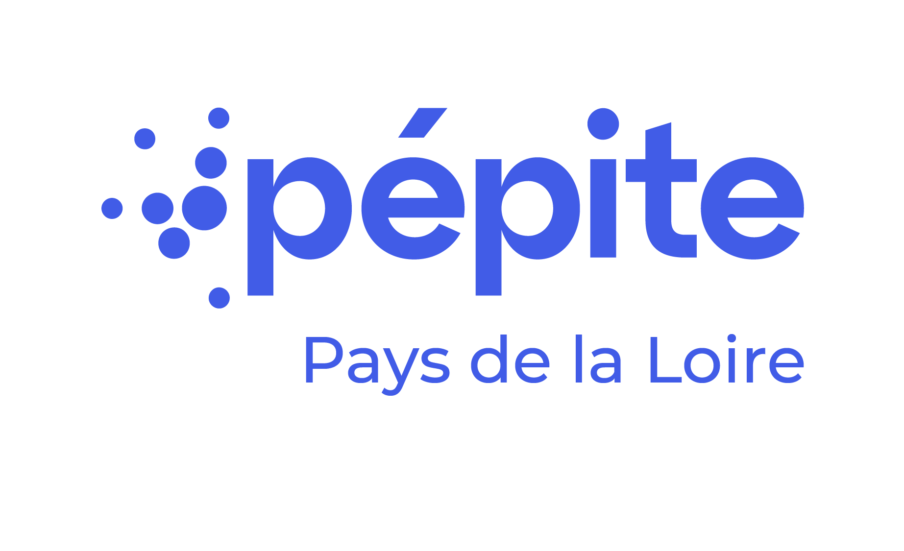Pépite PDL